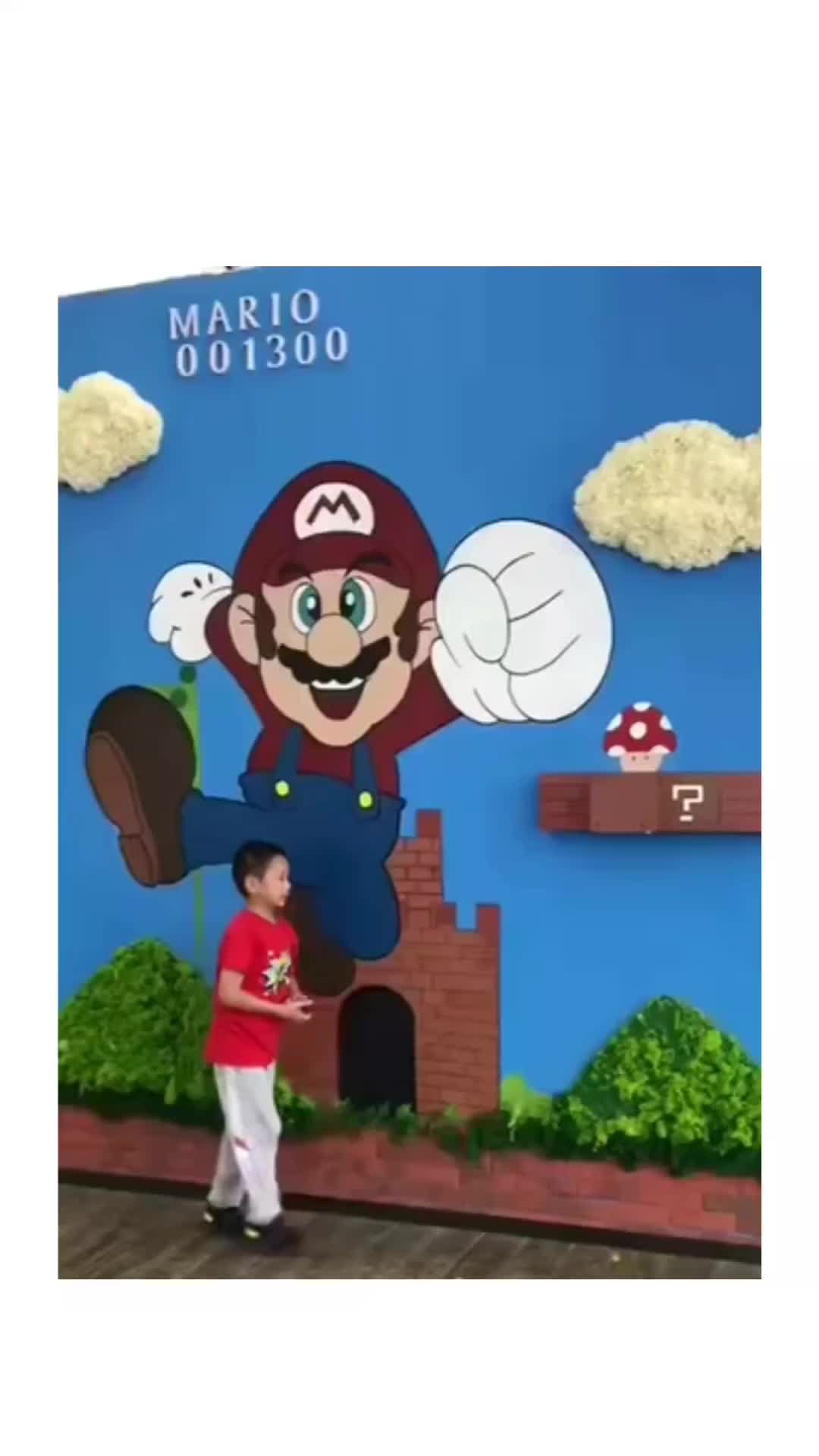 niruin Mario bross