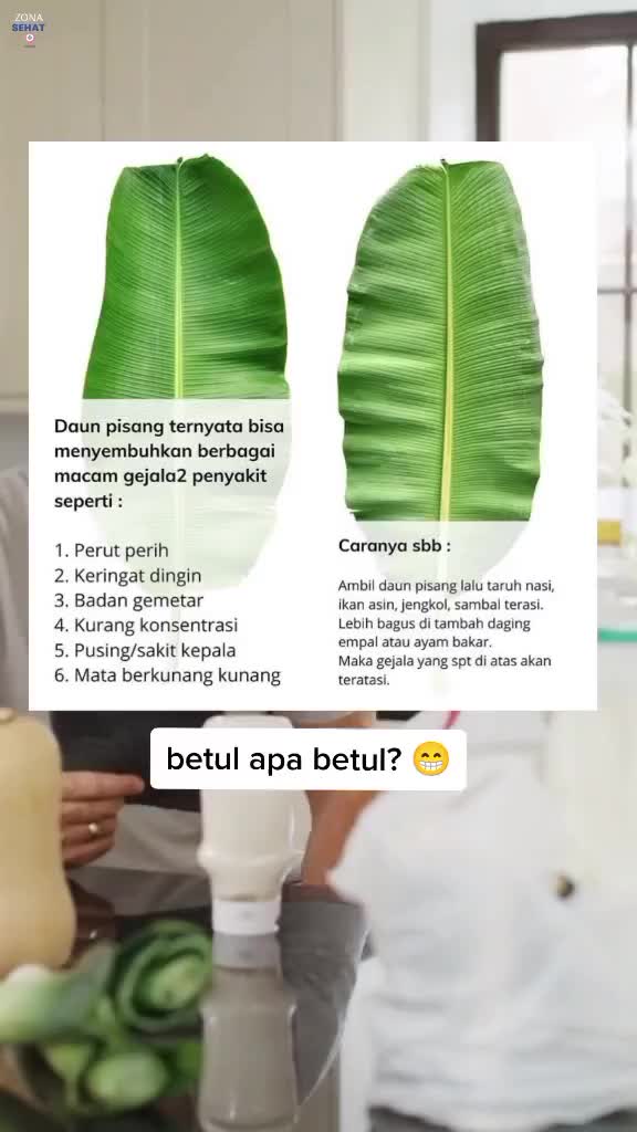 manfaat daun pisang