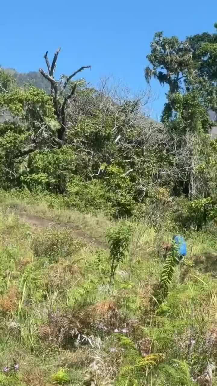 Diliat - liat ko gak keliatan, taunya muncul naik ojek sambil bye-bye 😬 ada yang kaya gini juga gak temen kalian 