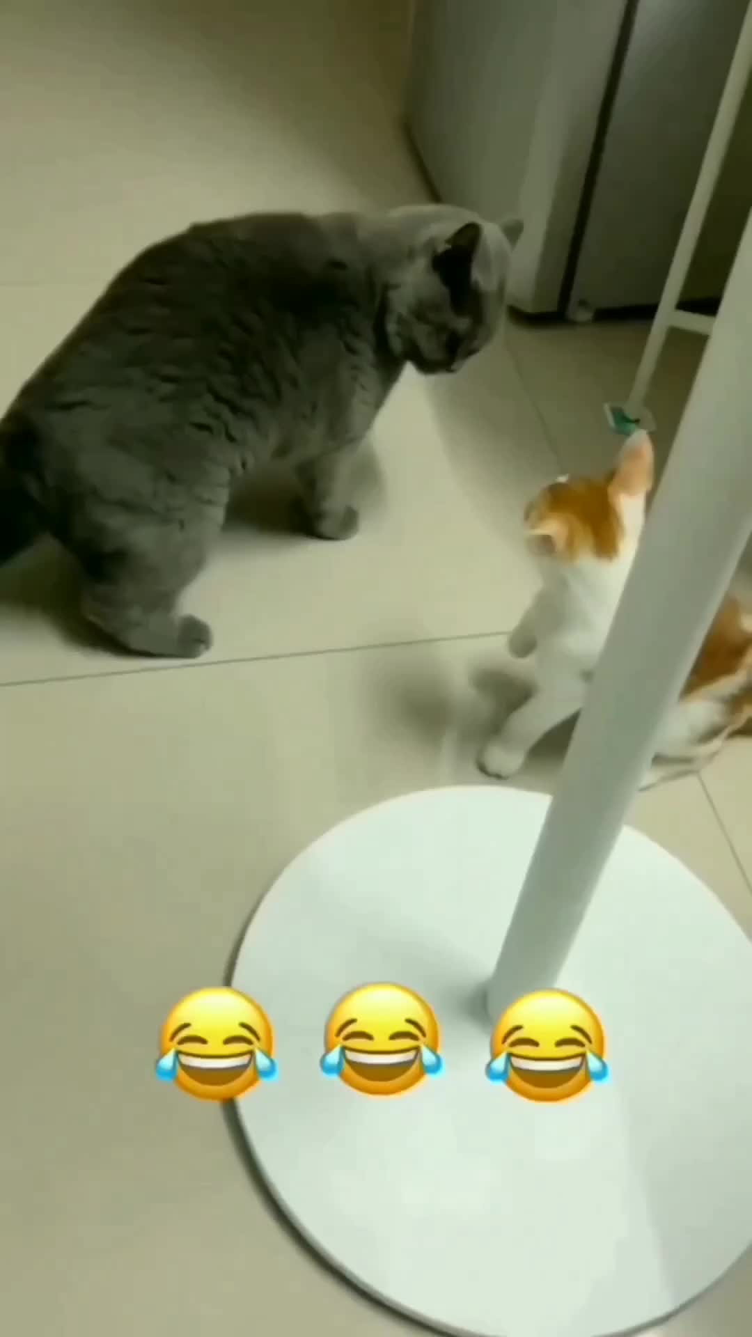 Kerandoman gemoy berbulu