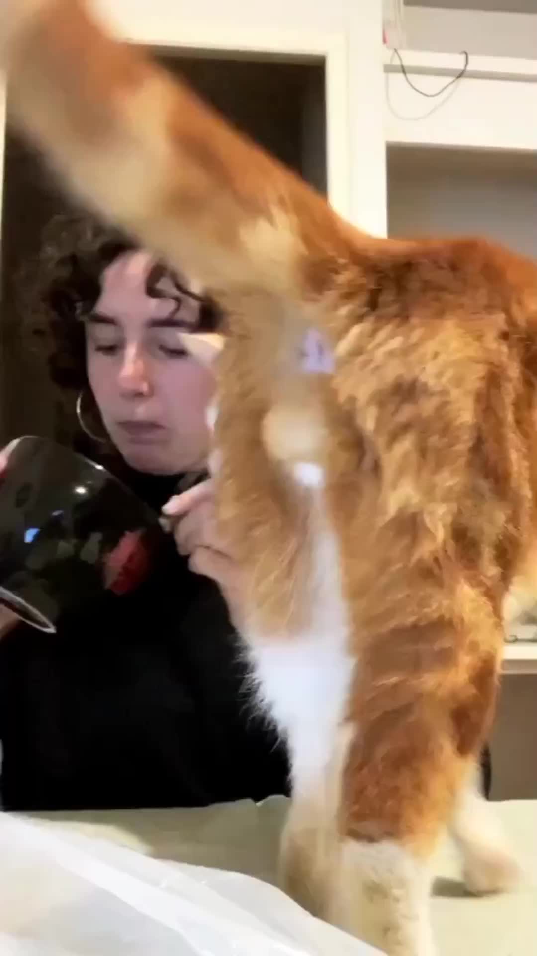 eee kemakannn