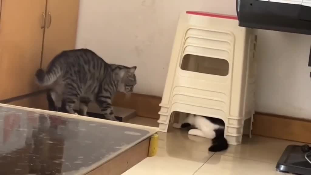 Ngumpet ah biar ga di tampol