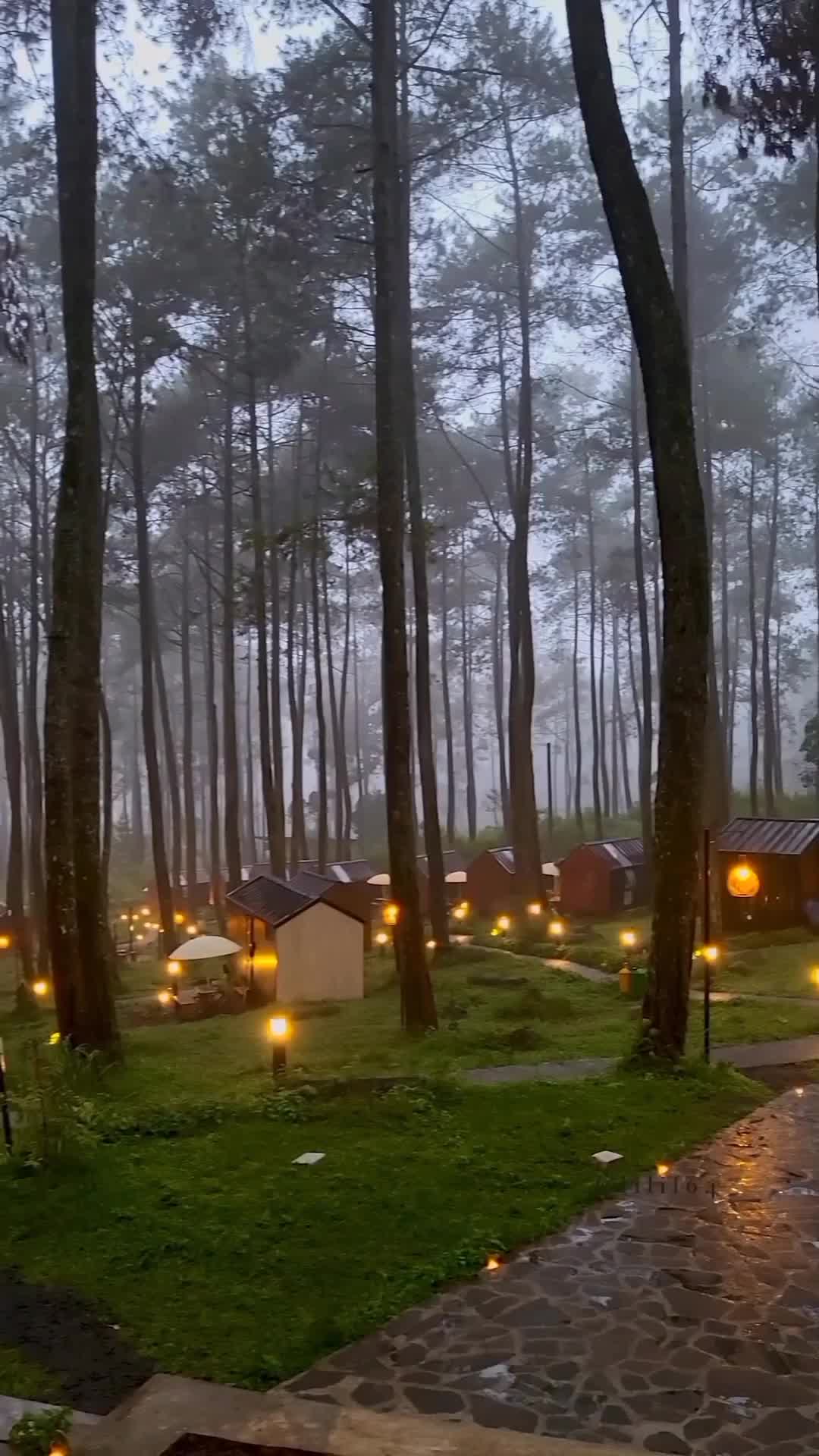 Cocok nih buat staycation bareng ayang😍 udara Lembang yang dingin dan pinus-pinus tinggi membuatmu nyaman