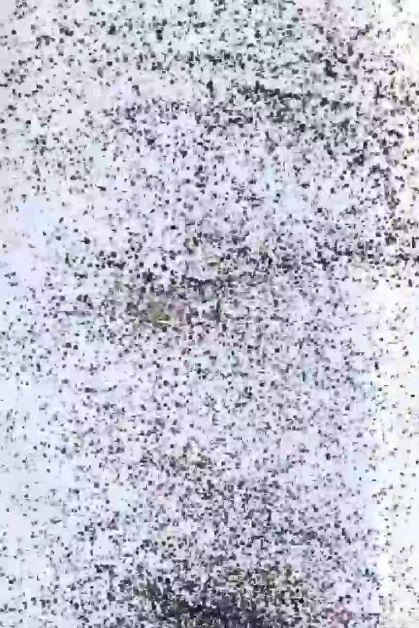 duta lombok..dinde dara