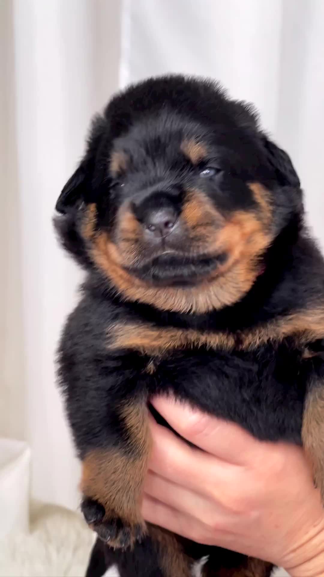 Bayi lagi nangis