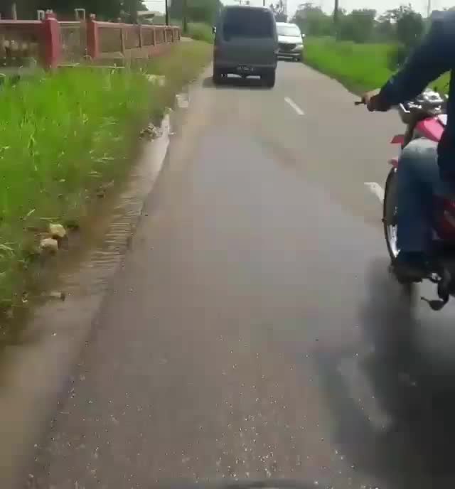 jalan sore