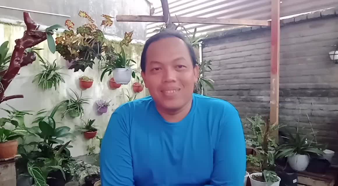 sawut obat rindu kampung #onlineauditionmci8