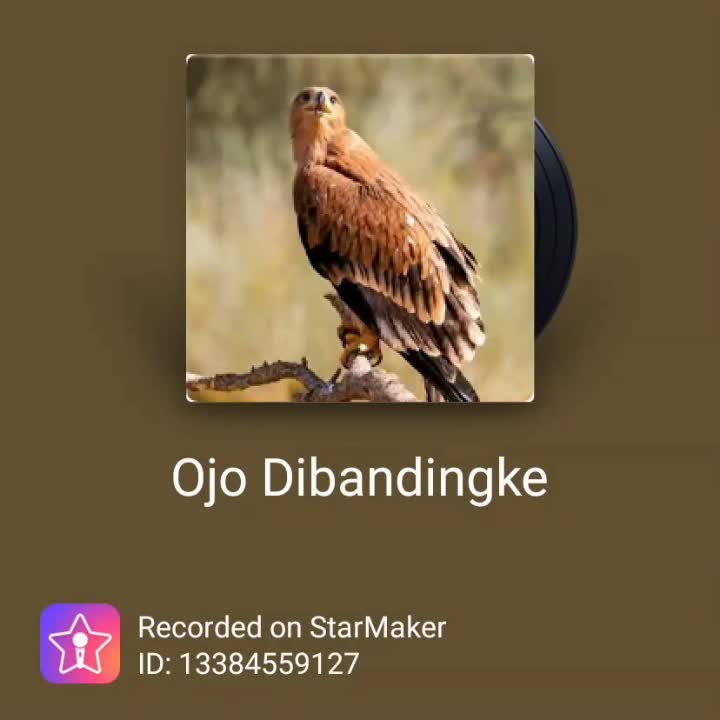dedekstar Deli Serdang cover Ojo dibandingke 😀