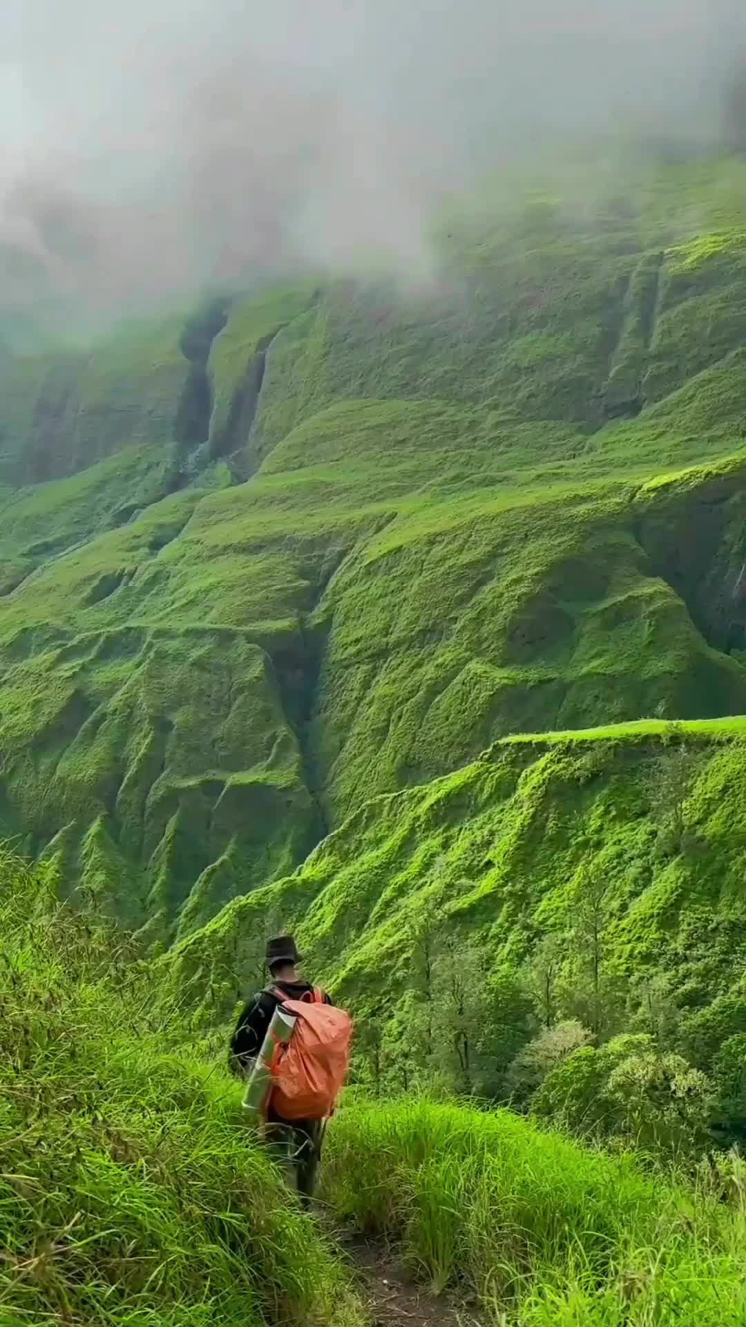 Banyak jalur yang yang bisa Batur Explore untuk menuju puncak Rinjani, salah satunya jalur torean ini. 
