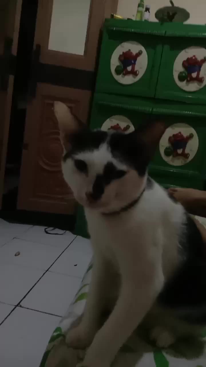 🥰