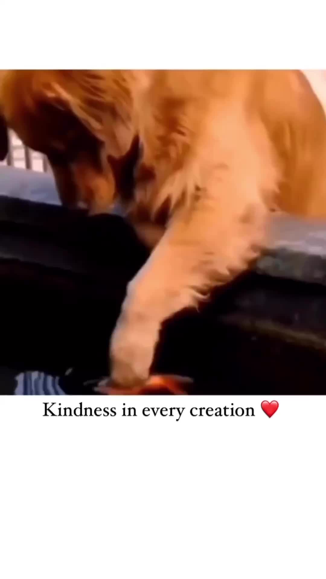 ❤️❤️