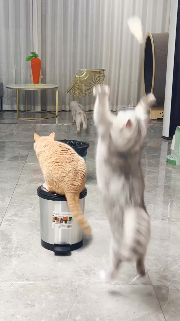 Oyen be lyke, Abu lo kurang ajar banget yeee