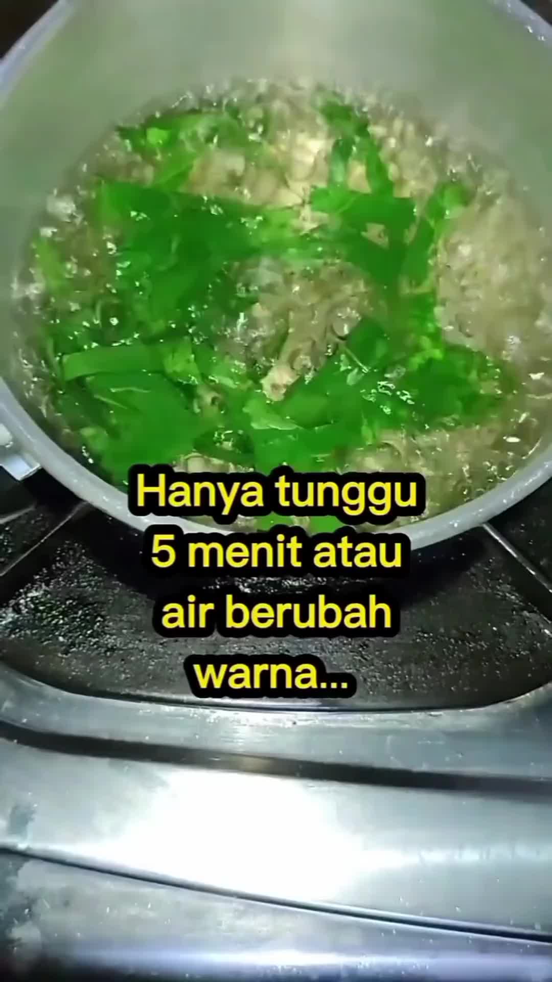 manfaat daun mangkok