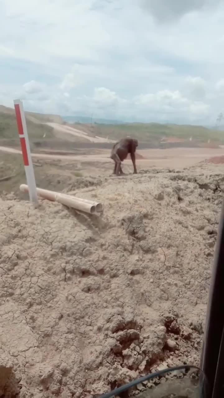 Susahnya mencari makan di tanah sendiri 😔

