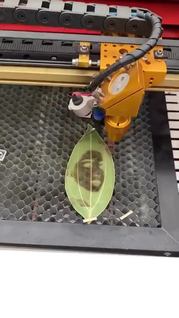 seni mengukir daun