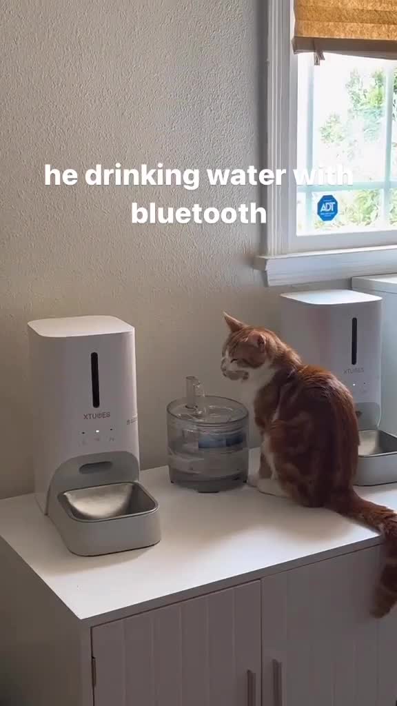 tempat minum kucing mevvah