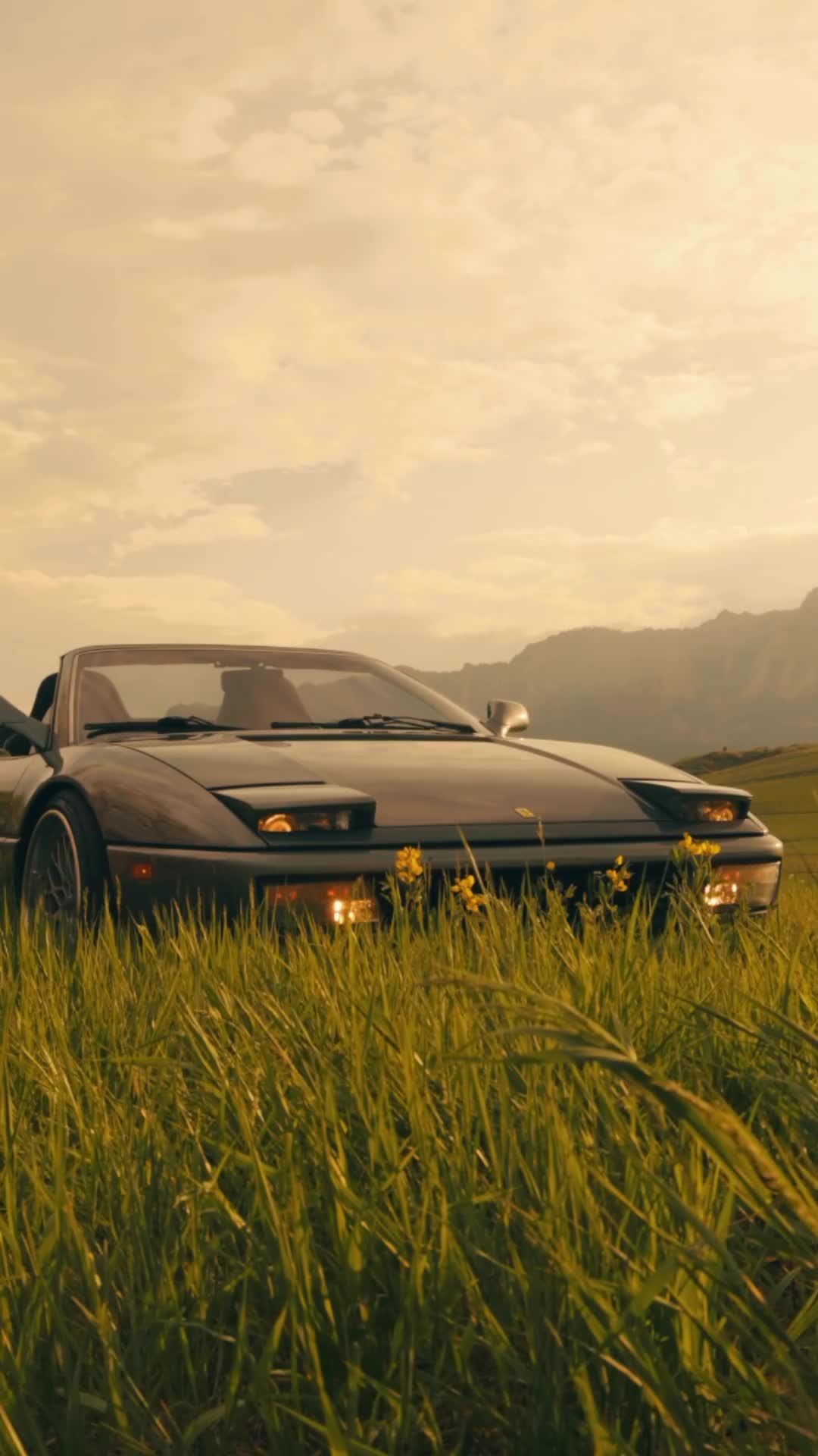 ferrari in a field friday
