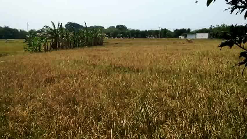 CoverMarsPerindro Eka Pramono