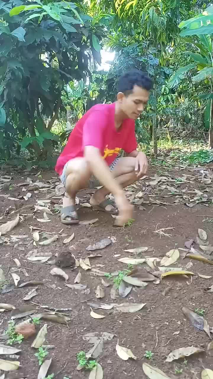 akting pegang kotoran sapi, eh malah beneran itu kotoran kirain tanah doang🤣😭