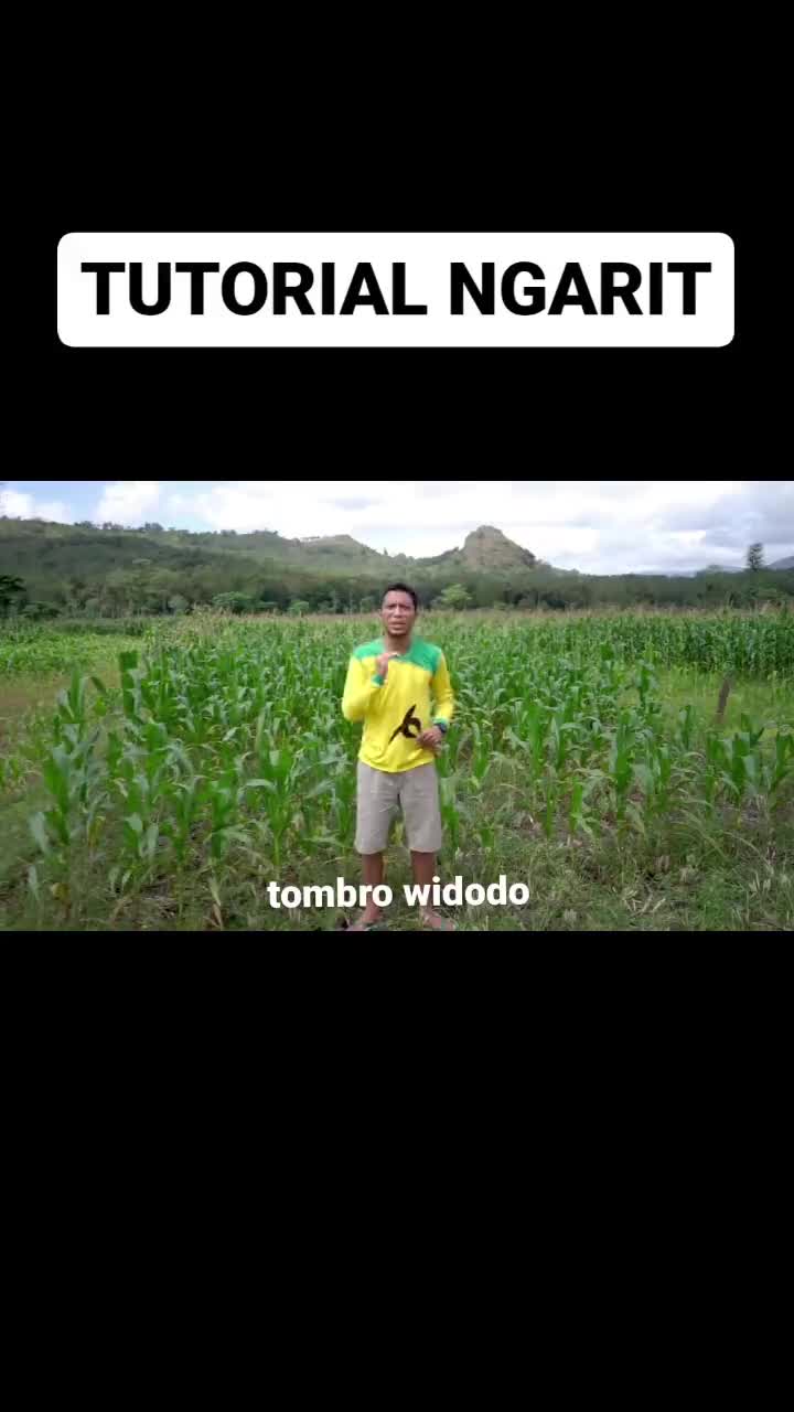 S3 Ilmu Pengaritan