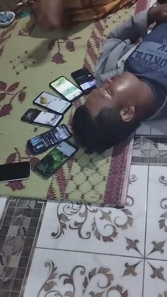 Biar Berasa Tidur Di Hutan