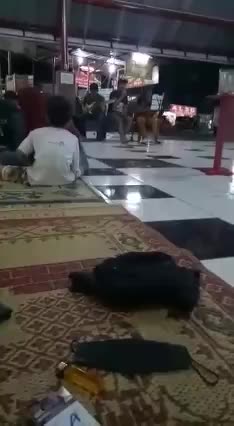 Kontes Ambyar Indonesia Agus arifin Boyolali 36  cidro