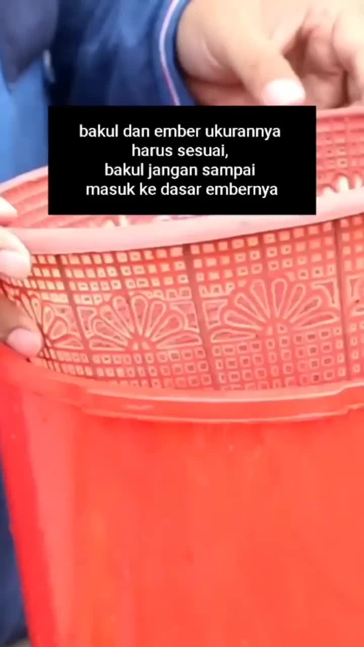 Hidroponik itu mudah kan?