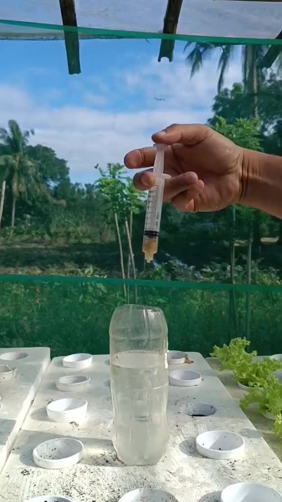 Ada yang sudah tau trik ini??