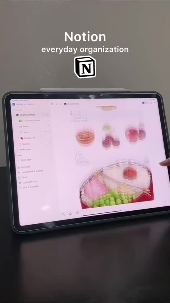 5 aplikasi yang wajib kamu download di Ipad