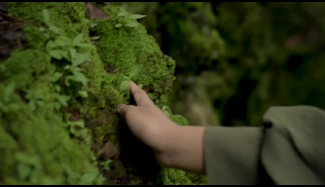 take a closer look at the beautiful nature 