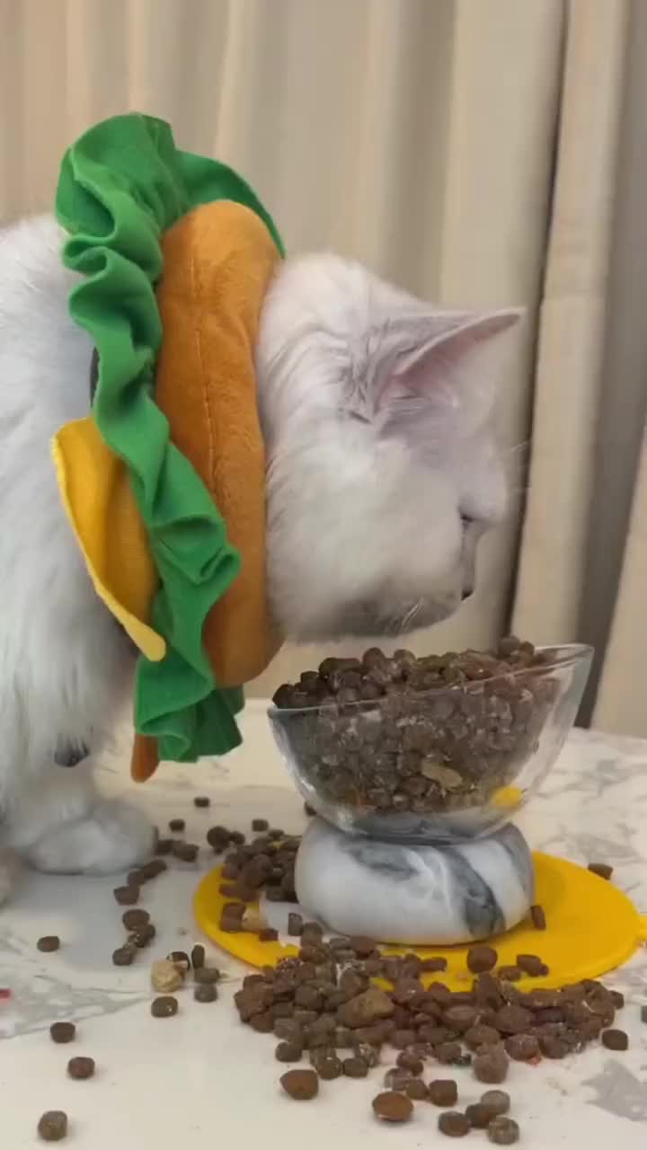 Lapar apa doyan nih neng