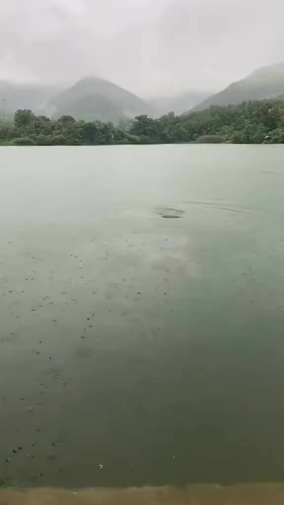 Aquaman Naik Ke Daratan