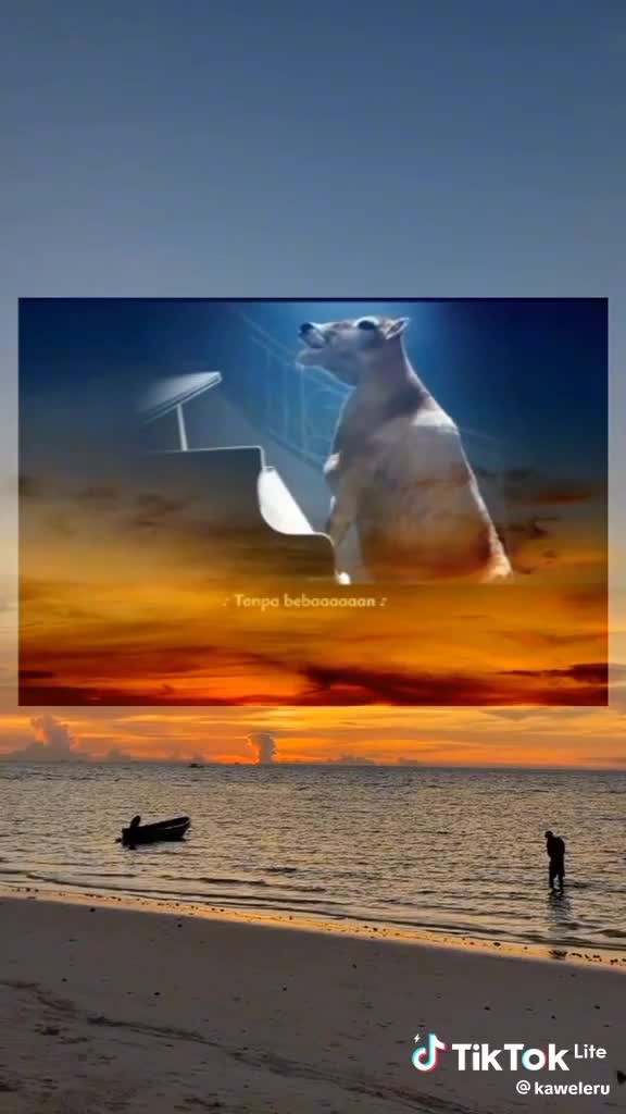 Curhatan hati seekor sapi